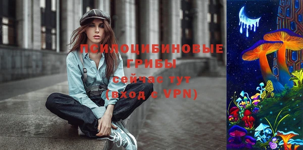 твердый Зеленокумск