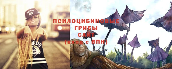 метадон Зеленодольск