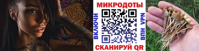 Псилоцибиновые грибы мицелий  Змеиногорск 
